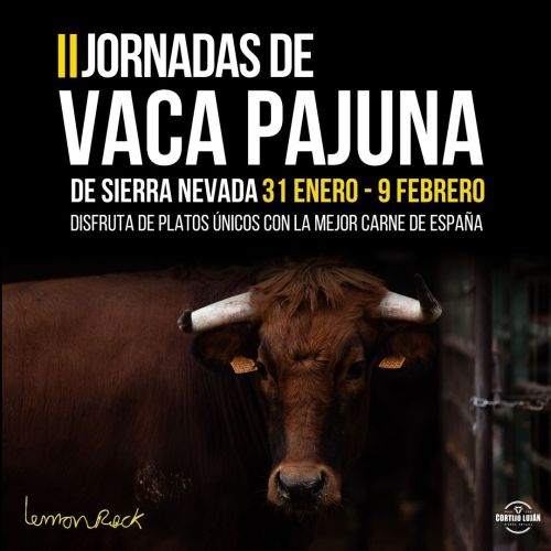 pajuna-web25